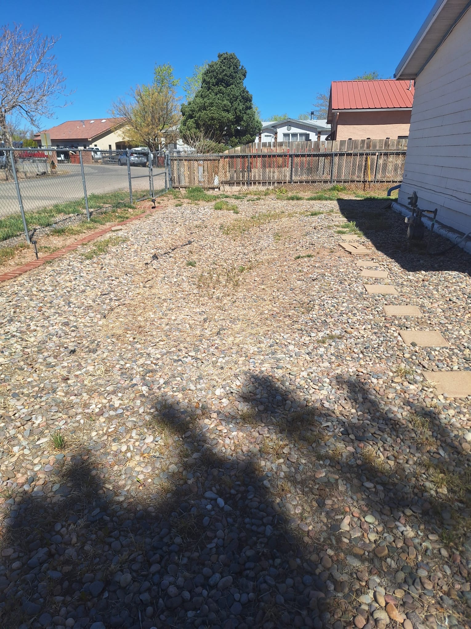 Overgrown rocky yard before cleanup – Santa Fe